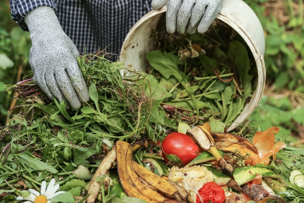 Organic waste composting area with greenery and modern facilities
